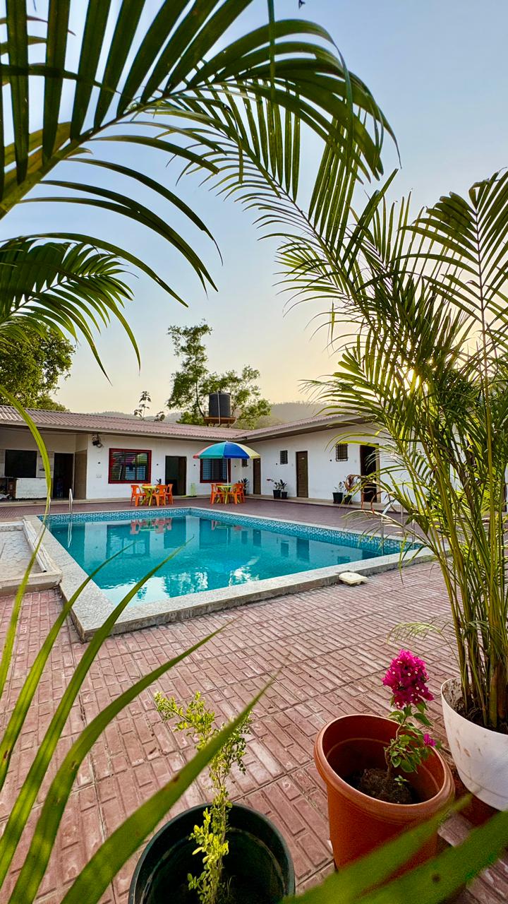Pool framed by palm leaves